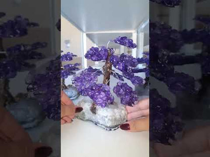 Árvore de Ametista para Proteção